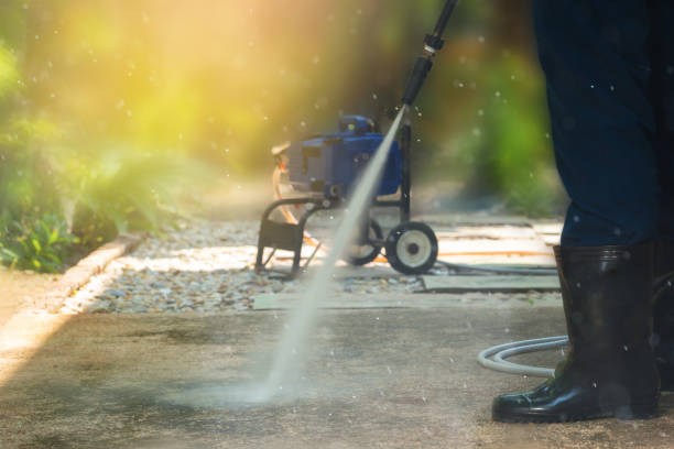 Best Graffiti Removal  in Louisiana, MO